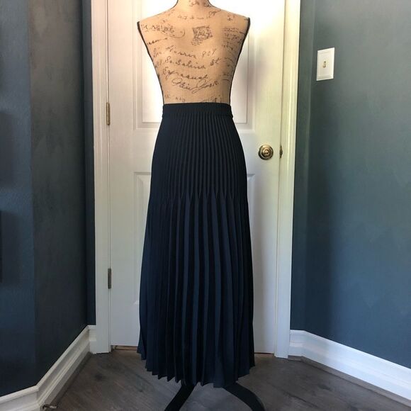 Max Edition Blue Pleated Maxi Skirt - Picture 2 of 6